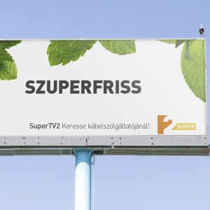 allison_advertising_supertv_2