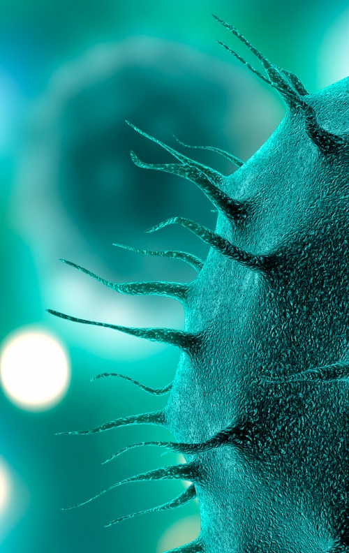 gyogyszer_allison_advertising_03